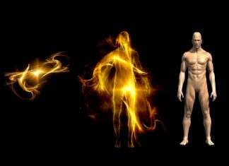 Die Unsterblichkeit von Geist und Seele